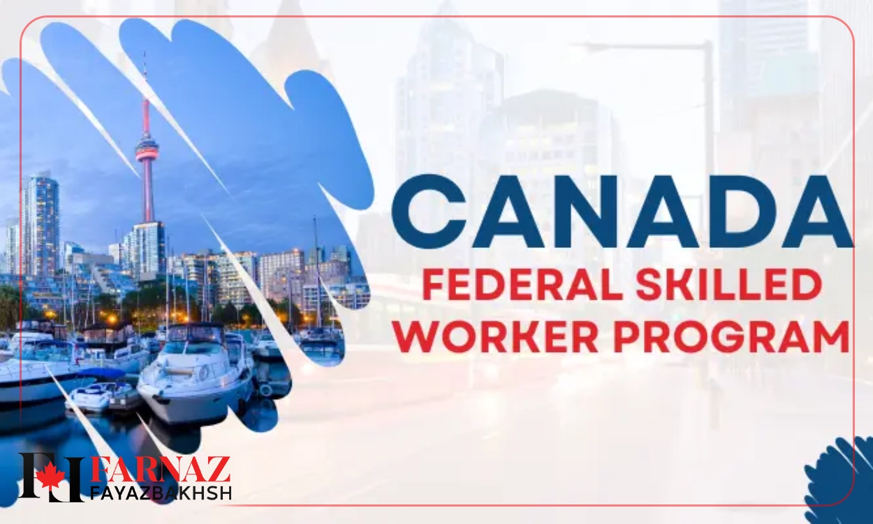 برنامه نیروی کار فنی و حرفه ای فدرال (FST)